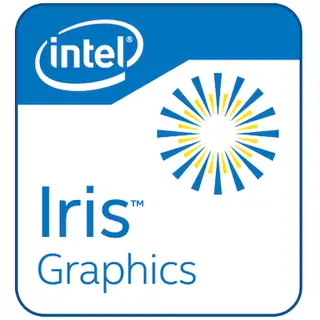 Intel Iris Plus Graphics G7 (64EU)